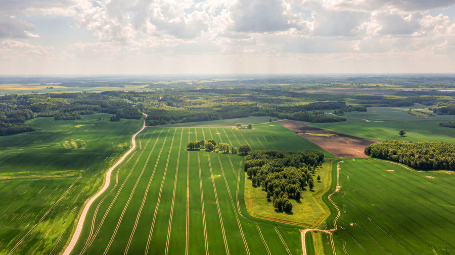 Aerial view to countryside with green agricultural fields and forests, latvia
