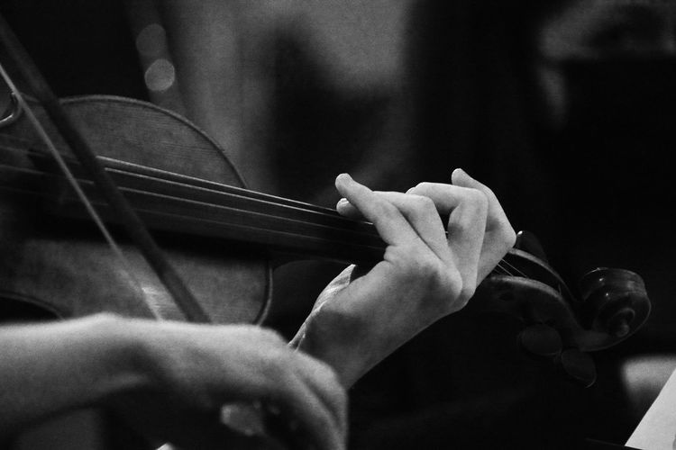 Cropped image of person playing violin