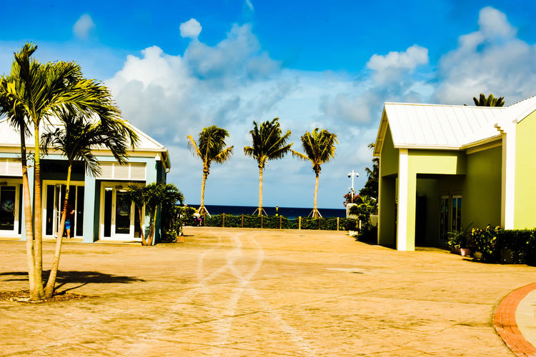 Houses and palm trees on beach against sky