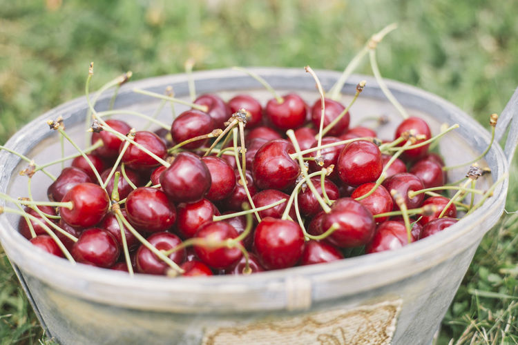 Close-up of fresh red cherries in a basket