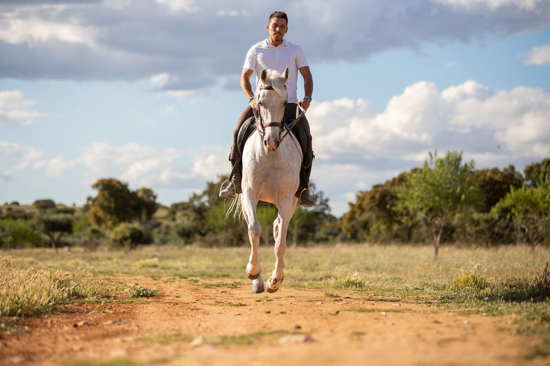 Man riding horse on field