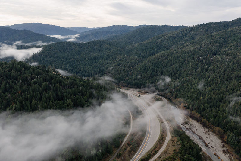 Redwood highway in northern california, aerial drone view with fog in winter.