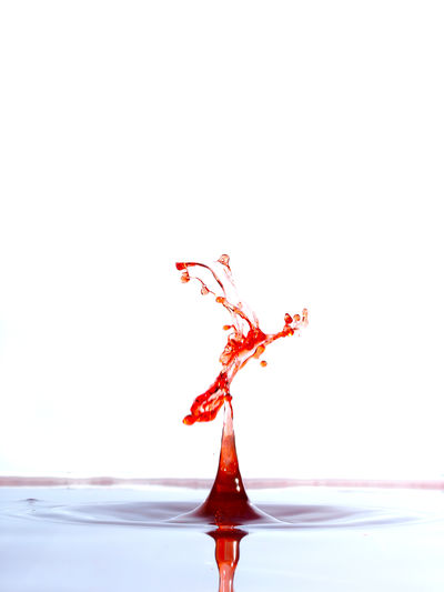 Close-up of red splashing water against white background
