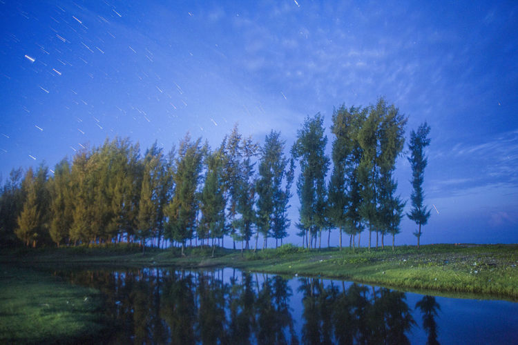 Trees by lake against sky at night