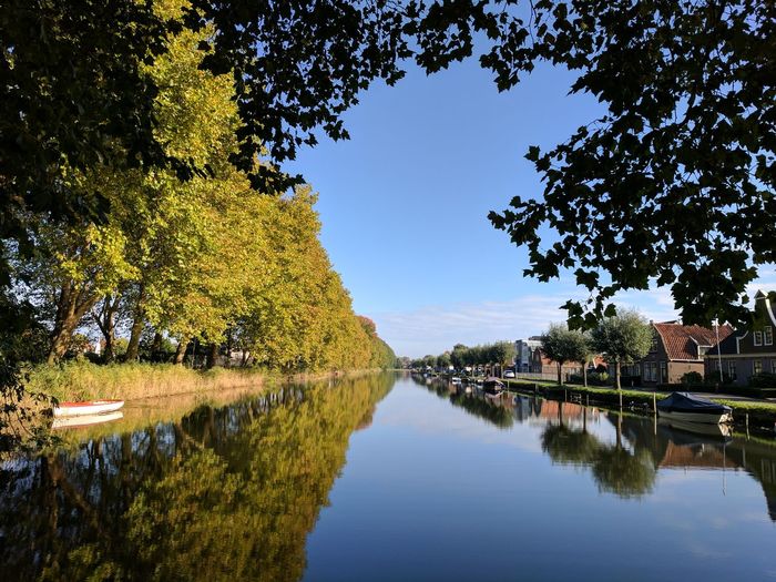 Reflection of trees in canal against clear blue sky