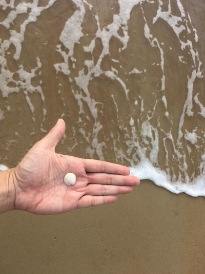 High angle view of hand on sand at beach