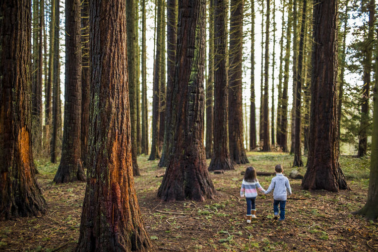 Boy and girl holding hands walking through beautiful forest.