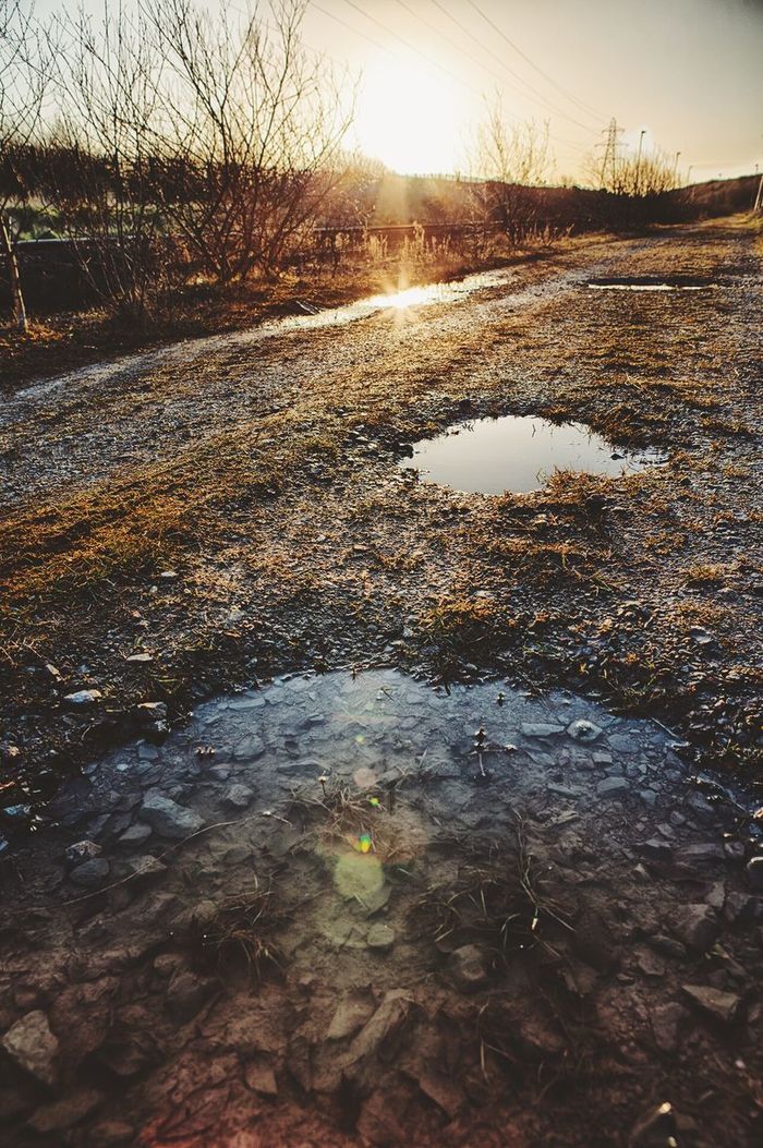 Countryside landscape with puddles at sunset