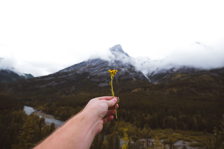 Cropped hand of man holding wilted flower against mountains