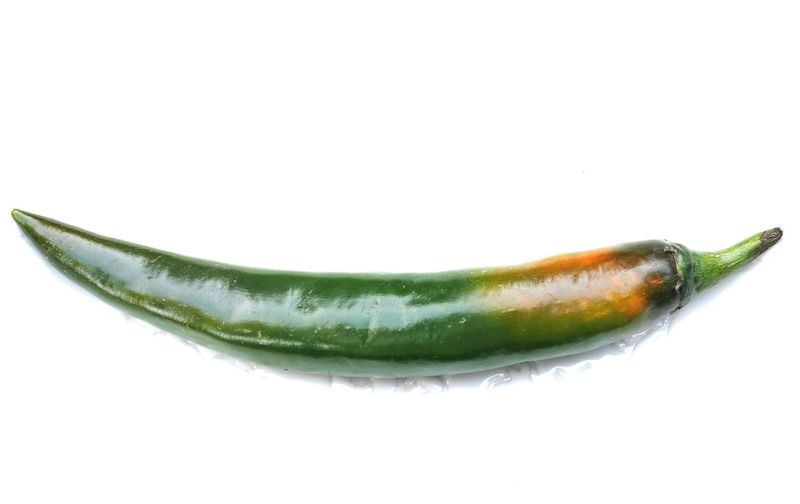 Close-up of green chili pepper against white background