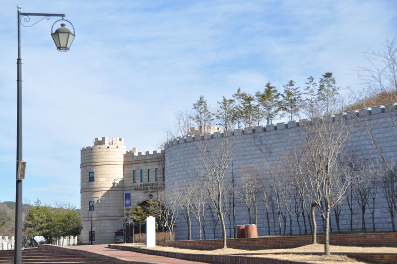 Low angle view of street light by building against sky