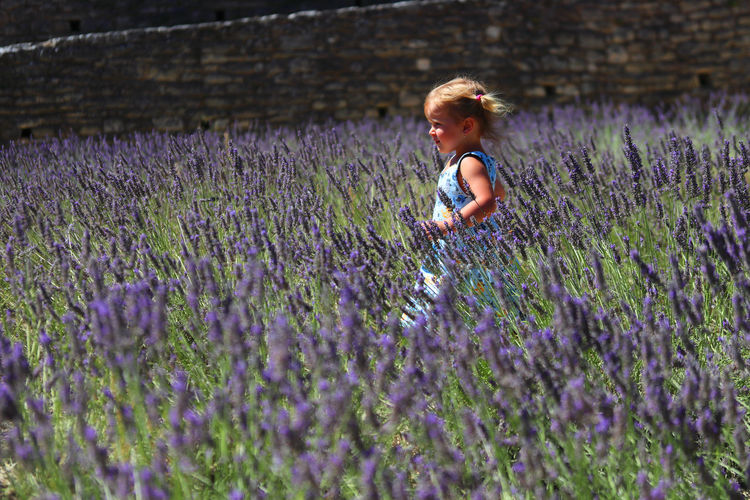 Child running in lavender field