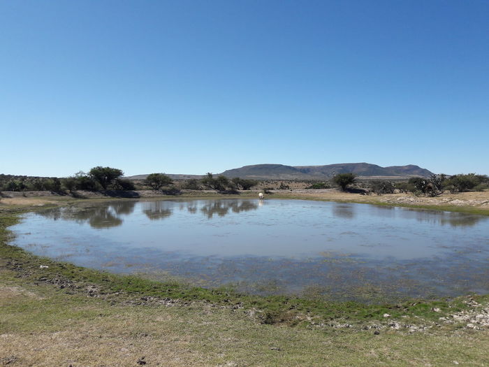 Scenic view of lake against clear blue sky