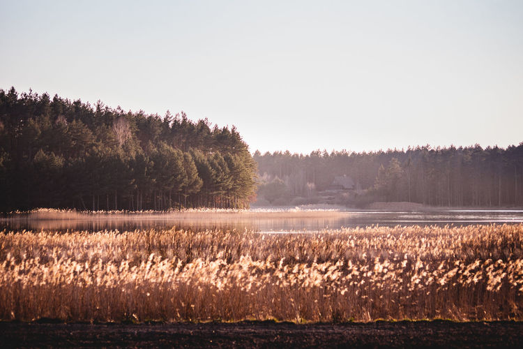 Scenic view of lake against clear sky