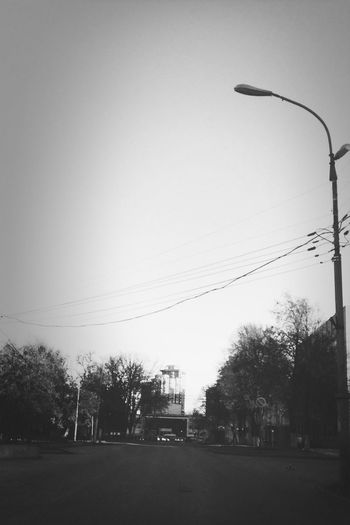 View of street light and trees