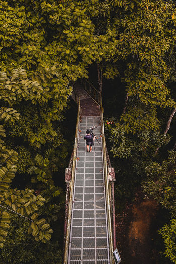 People on bridge amidst trees in forest