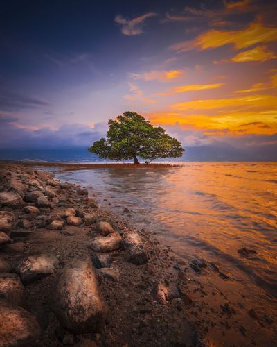 Scenic view of sea against sky during sunset