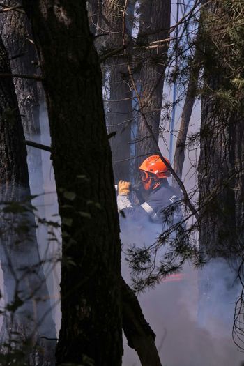Firefighter spraying water from fire hose in forest