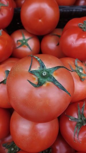 Close-up of tomatoes for sale in market
