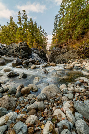Surface level of stream flowing through rocks in forest