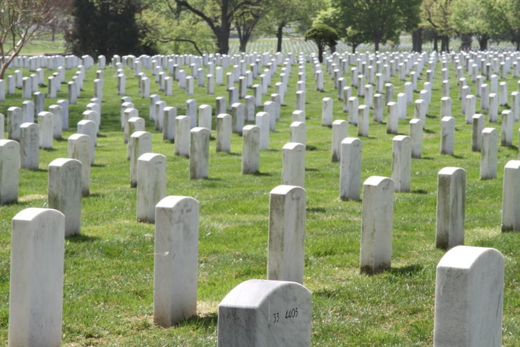 Row of tombstones in cemetery