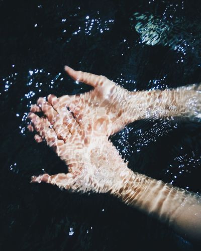 High angle view of hand in water