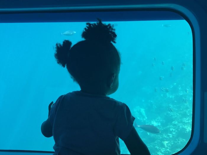 Rear view of girl looking at fish in aquarium
