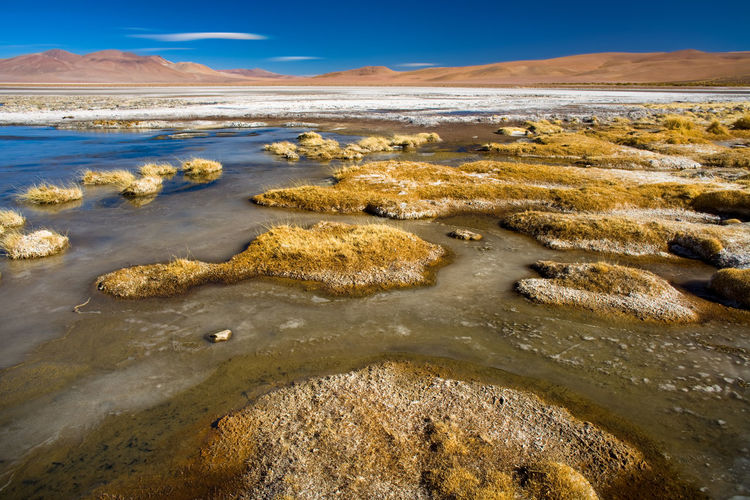 Frozen water at the shore of salar del quisquiro in the altiplano atacama desert, chile