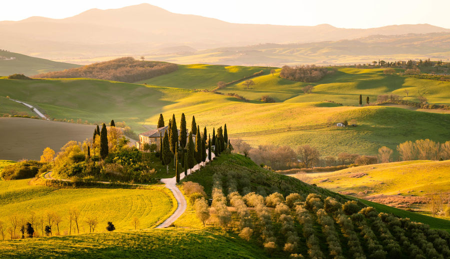 Scenic view of agricultural field against mountains in tuscany