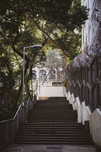 Low angle view of steps amidst trees and building