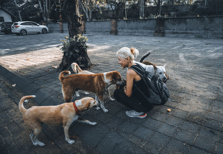 Full length woman crouching with stray dog on footpath