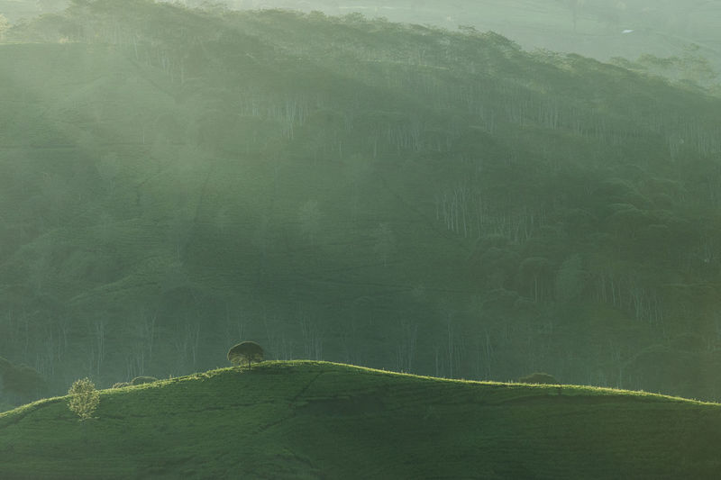 Scenic view of landscape