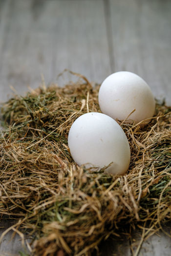 Two white chicken eggs lie in the hay on a blurry wooden background. selective focus. 