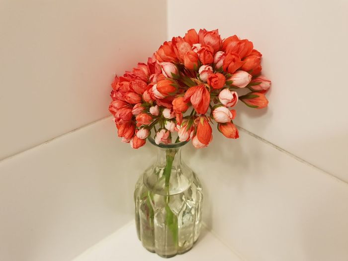 Close-up of red roses in vase on table against wall
