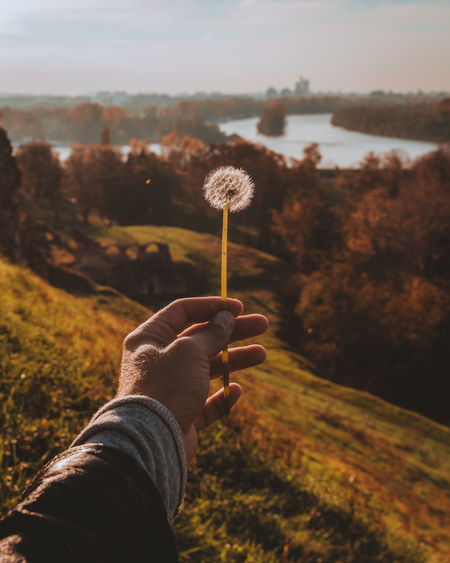 A hand holding dandelion flower to make a wish with backdrop of forest and river at golden hour.