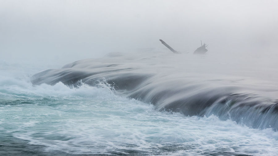 View of whale swimming in sea