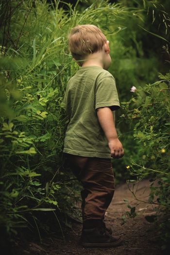 Rear view of boy looking at plants