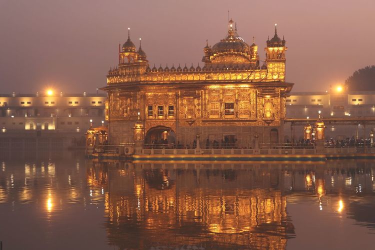 A golden ensnaring at the golden temple