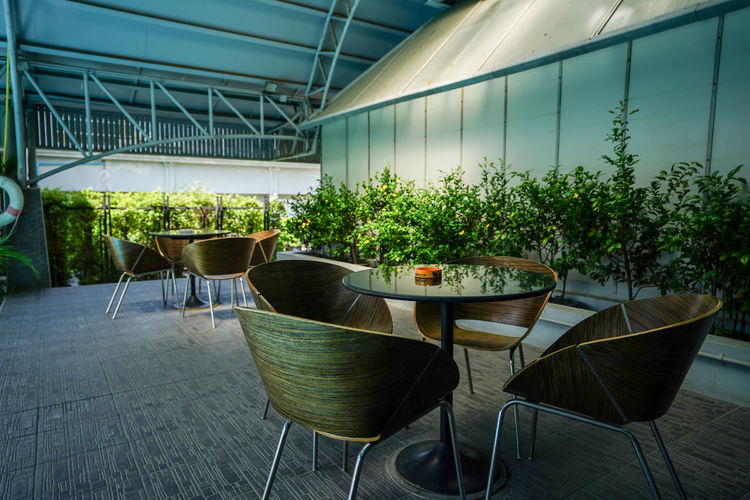 Empty chairs and tables in greenhouse