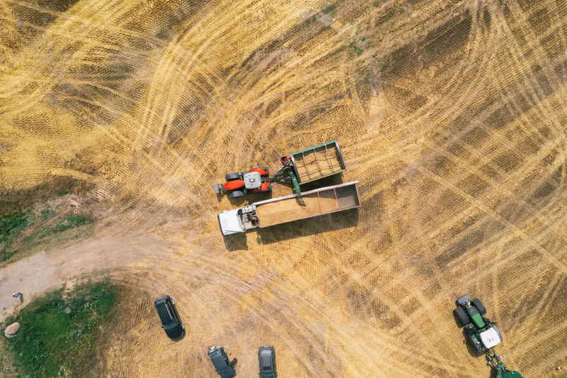 Combine harvester on the field.  transfer of grain from the bunker of the combine to the truck.