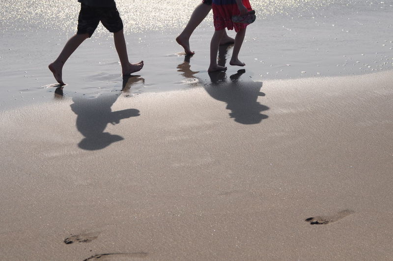 Low section of people walking on wet beach