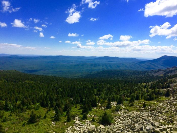 Scenic view of landscape against sky