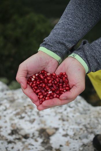 Cropped hands holding pomegranate seeds