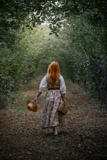 Redhead woman walking in an apple tree garden