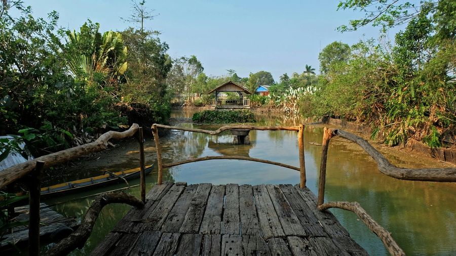 View of plants in water