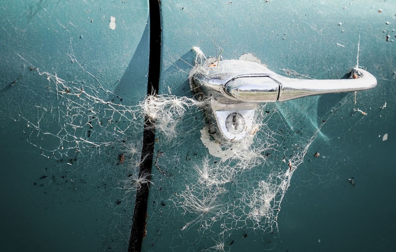 Close up of spider web on car door