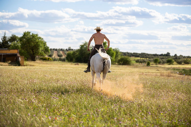 View of horse riding on field