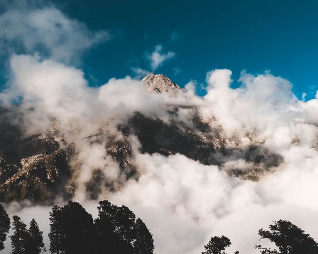 Low angle view of clouds and trees against sky