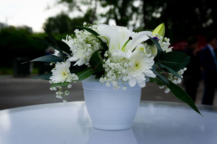 Close-up of white flower pot on table