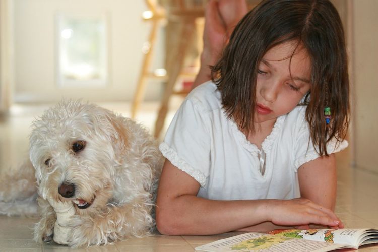 Close-up of girl with dog sitting at home